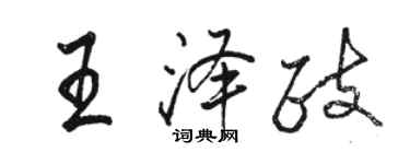 骆恒光王泽政行书个性签名怎么写