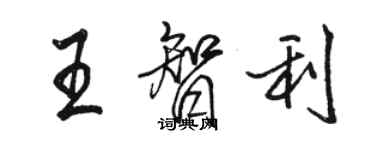骆恒光王智利行书个性签名怎么写