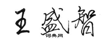 骆恒光王盛智行书个性签名怎么写