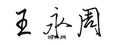 骆恒光王永周行书个性签名怎么写