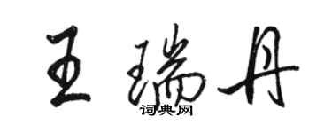 骆恒光王瑞丹行书个性签名怎么写