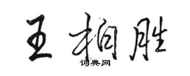 骆恒光王柏胜行书个性签名怎么写