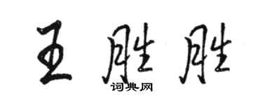 骆恒光王胜胜行书个性签名怎么写