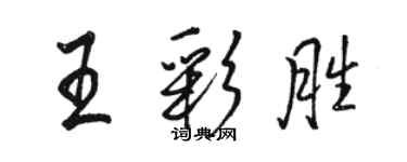 骆恒光王彩胜行书个性签名怎么写