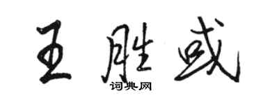 骆恒光王胜或行书个性签名怎么写