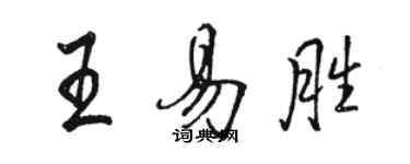 骆恒光王易胜行书个性签名怎么写