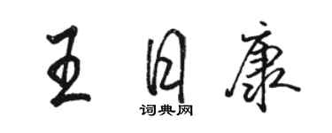 骆恒光王日康行书个性签名怎么写