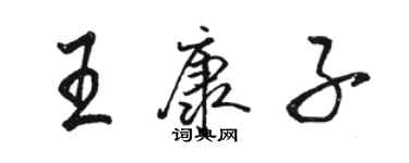 骆恒光王康子行书个性签名怎么写