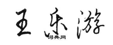 骆恒光王乐游行书个性签名怎么写