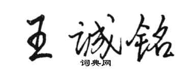 骆恒光王诚铭行书个性签名怎么写