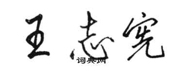 骆恒光王志宪行书个性签名怎么写
