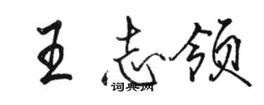 骆恒光王志领行书个性签名怎么写