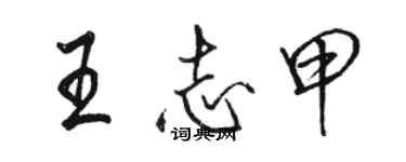 骆恒光王志甲行书个性签名怎么写