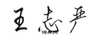 骆恒光王志严行书个性签名怎么写