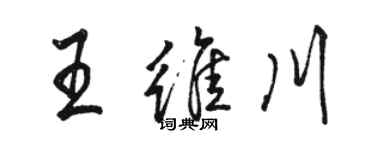 骆恒光王维川行书个性签名怎么写