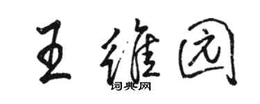 骆恒光王维园行书个性签名怎么写