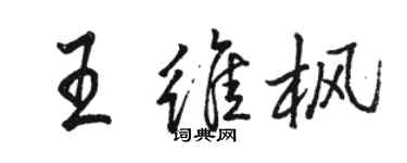 骆恒光王维枫行书个性签名怎么写