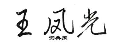 骆恒光王凤光行书个性签名怎么写