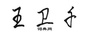 骆恒光王卫千行书个性签名怎么写