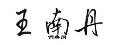 骆恒光王南丹行书个性签名怎么写