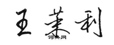 骆恒光王茉利行书个性签名怎么写