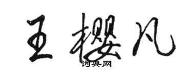 骆恒光王樱凡行书个性签名怎么写