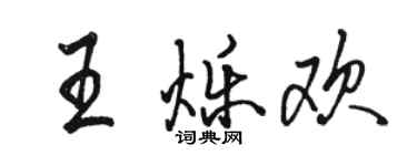 骆恒光王烁欢行书个性签名怎么写