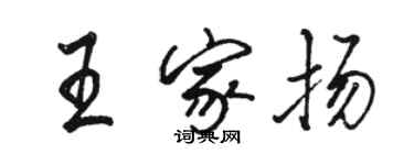 骆恒光王家扬行书个性签名怎么写