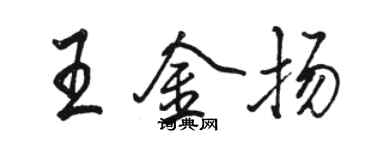 骆恒光王金扬行书个性签名怎么写