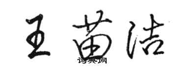 骆恒光王苗洁行书个性签名怎么写