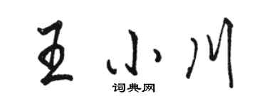 骆恒光王小川行书个性签名怎么写