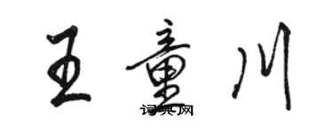 骆恒光王童川行书个性签名怎么写