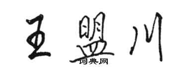 骆恒光王盟川行书个性签名怎么写