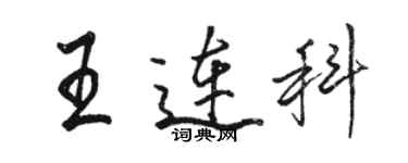 骆恒光王连科行书个性签名怎么写
