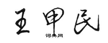 骆恒光王甲民行书个性签名怎么写