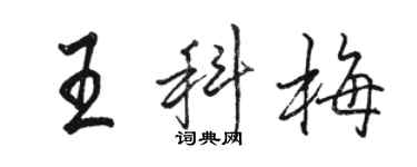 骆恒光王科梅行书个性签名怎么写