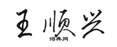 骆恒光王顺兴行书个性签名怎么写