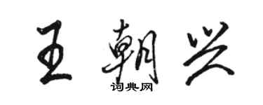 骆恒光王朝兴行书个性签名怎么写