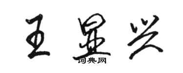 骆恒光王显兴行书个性签名怎么写