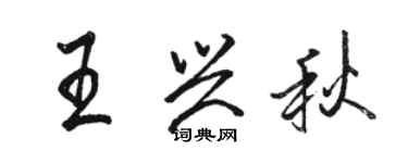 骆恒光王兴秋行书个性签名怎么写