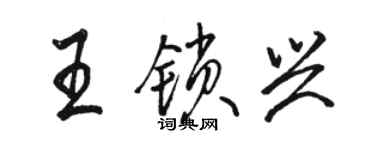 骆恒光王锁兴行书个性签名怎么写