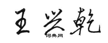 骆恒光王兴乾行书个性签名怎么写