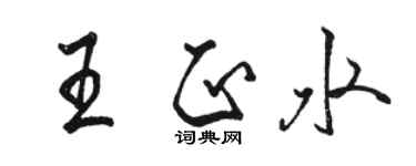 骆恒光王正水行书个性签名怎么写