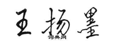骆恒光王扬墨行书个性签名怎么写