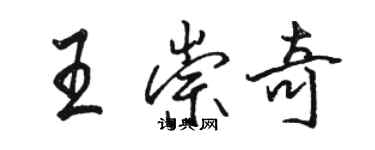 骆恒光王崇奇行书个性签名怎么写