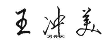 骆恒光王冲美行书个性签名怎么写