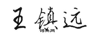 骆恒光王镇远行书个性签名怎么写