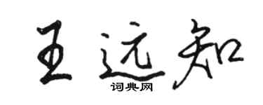 骆恒光王远知行书个性签名怎么写