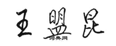 骆恒光王盟昆行书个性签名怎么写