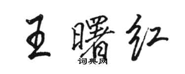 骆恒光王曙红行书个性签名怎么写